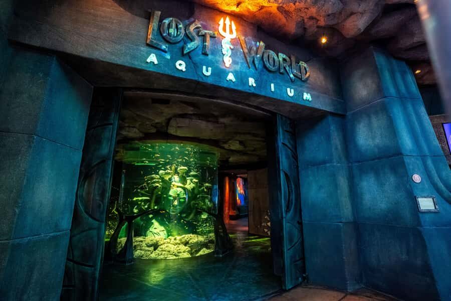 5-Day Pass: Hop-On Hop-Off, Lost World Aquarium, Dubai Frame - A 5-Day Dubai Reset: how the bundle fits together