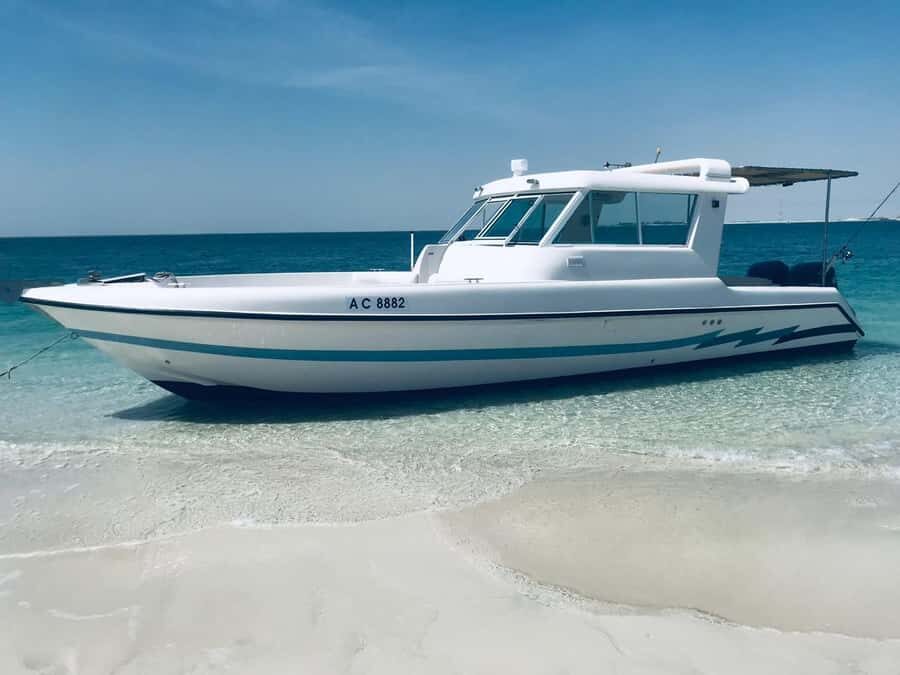 Abu Dhabi: 4-Hour Guided Cruise & Island Hopping - Why this Abu Dhabi cruise feels special (not just another boat ride)