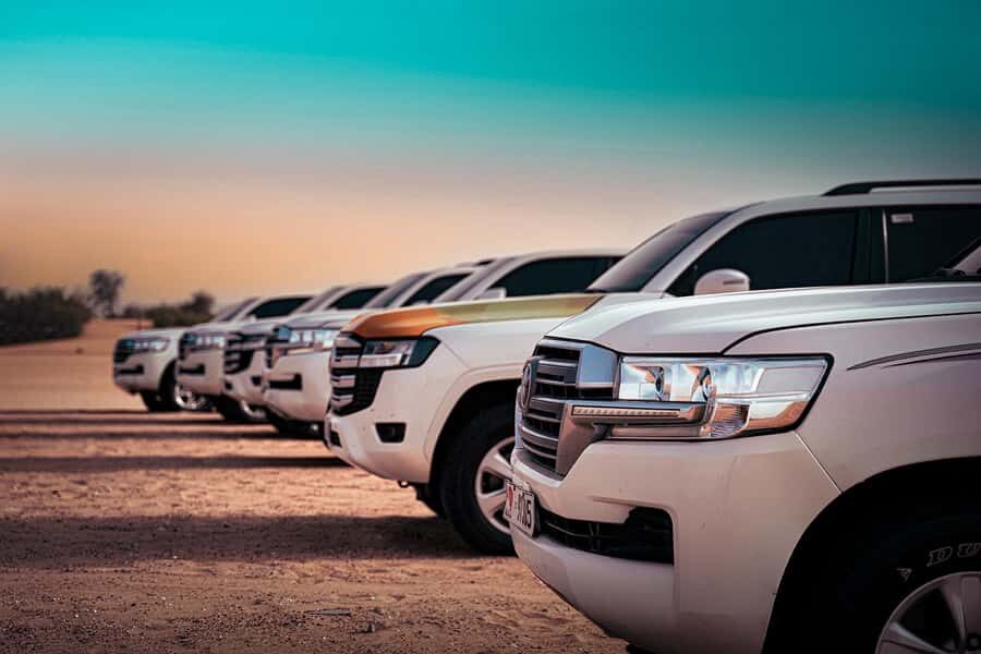 Abu Dhabi: Desert Safari with BBQ, Belly & Tannura Dance - Camel Farm Pass, Camel Ride, and Sandboarding at the Camp