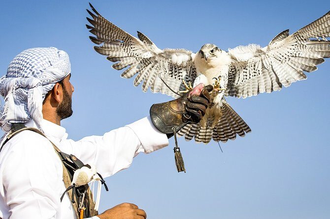 Abu Dhabi: Desert Safari with BBQ, Camel Ride & Sandboarding - Sandboarding: the activity that turns spectators into players