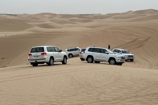 Abu Dhabi Desert Safari With BBQ Dinner & Live Shows - Key things to know before you go