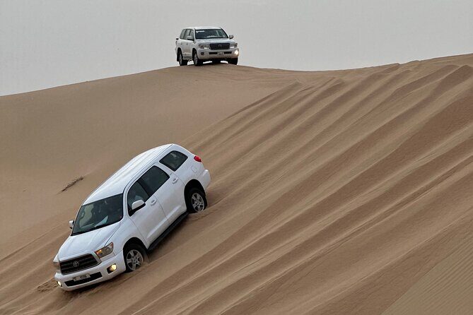 Abu Dhabi Desert Safari With BBQ Dinner & Live Shows - Why this desert safari evening works so well in Abu Dhabi