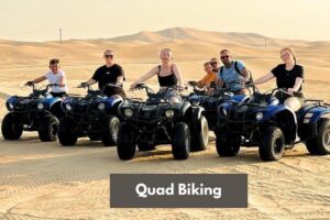 Abu Dhabi Desert Safari With BBQ Dinner & Live Shows - Price and value: what $60 gets you, and what might cost extra