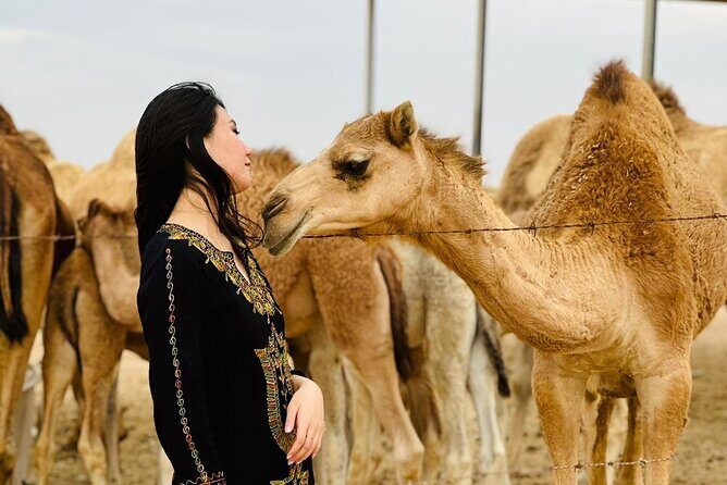 Abu Dhabi Desert Safari With BBQ Dinner & Live Shows - Henna painting and sheesha: the cultural stops that feel optional
