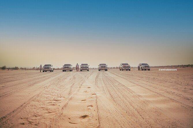 Abu Dhabi Evening Desert Safari BBQ, Camel Ride, Entertainments - Camel Farm Stop and Short Camel Ride: The Animal Moment