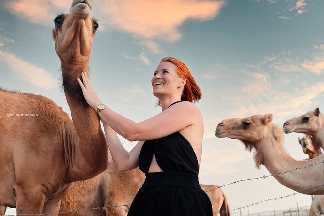Abu Dhabi Evening Desert Safari BBQ, Camel Ride, Entertainments - Falcon Photo, Traditional Attire, and the “Culture” Bits