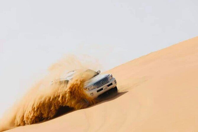 Abu Dhabi: Evening Desert Safari with Camel Ride, BBQ & Live Show - Sunset Camp Time: Sandboarding, Henna, Falcon Photos, Traditional Dress