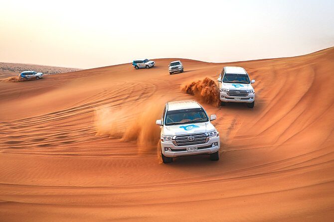 Abu Dhabi: Morning Desert Safari with Camels and Sandboarding - Price and Value: Is $49.50 a Smart Desert Deal?