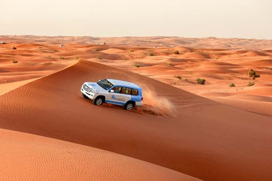 Abu Dhabi: Morning Desert Tour, Camel Ride & Sandboarding - Why the Abu Dhabi morning safari feels different from the afternoon