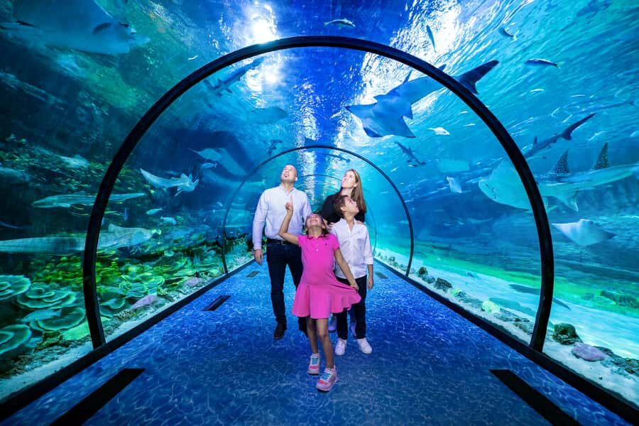 Abu Dhabi: National Aquarium Entrance Ticket - National Aquarium Abu Dhabi: 10 Zones, 46,000 Animals, One Ticket