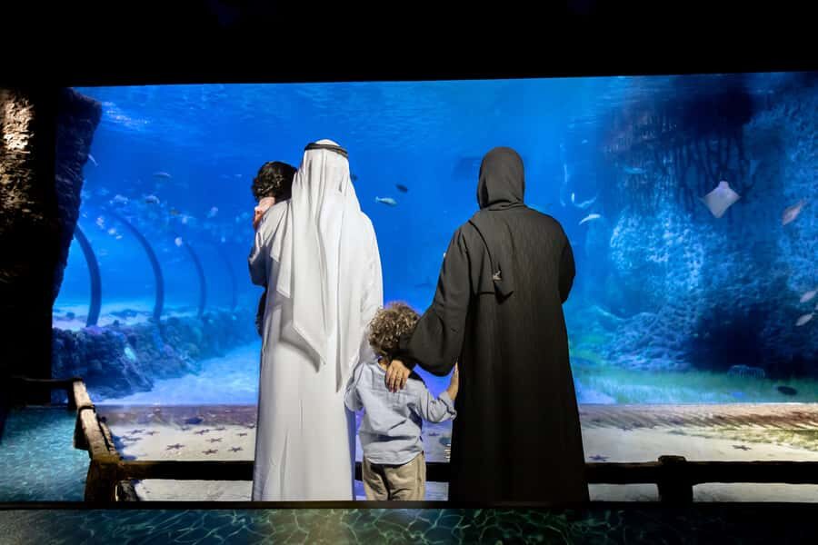 Abu Dhabi: National Aquarium Entrance Ticket - From Pacific Tropics to Arctic Chill: How the Exhibits Flow