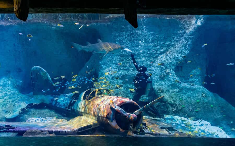 Abu Dhabi: National Aquarium Entrance Ticket - Who Should Book This 1-Day Aquarium Pass