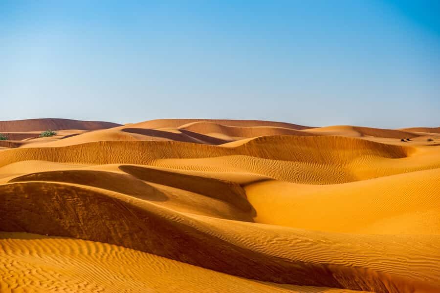 Abu Dhabi Traditional Desert Camp Experience And Quad Bike - Key Things You’ll Do Out in Abu Dhabi’s Desert