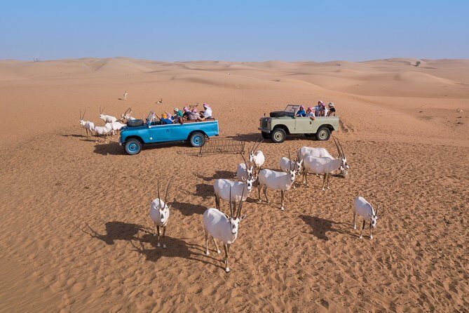 Authentic Safari in Vintage Land Rover with Traditional Dinner - Getting the timing right: pickup window, total duration, and what to wear