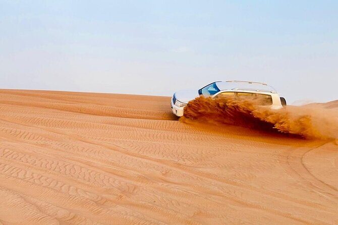 Desert safari adventure with BBQ dinner - Service Style and Guide Notes: You’ll Want a Confident Host