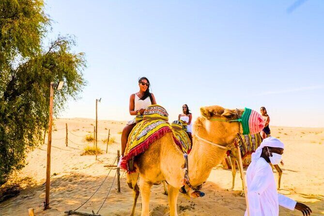 Desert Safari Dubai 30 Mins Quad Bike, Sand Board, Camel Ride BBQ - BBQ Dinner: Unlimited Drinks, a Buffet Setup, and Real-World Value