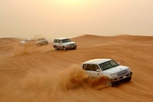 Desert Safari Experience with Dune Bashing and Dinner in Dubai - 4x4 Dune Bashing at Sunset: Thrill Ride With One Serious Planning Note