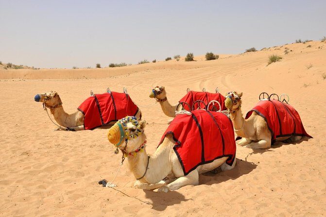 Desert Safari: Luxury Fortress Dinner, Camel Ride & Dune Bashing - Key Things to Know Before You Go