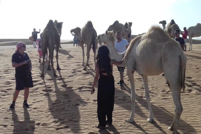 Desert Safari Tour, Quad Bike with BBQ Dinner & Show from Dubai - Camel ride, henna, and camp activities at night