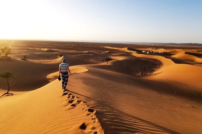 Desert Safari With BBQ Dinner, Quad Ride And And Sand-boarding - Safety and Comfort: What the Tour Says You Can Adjust