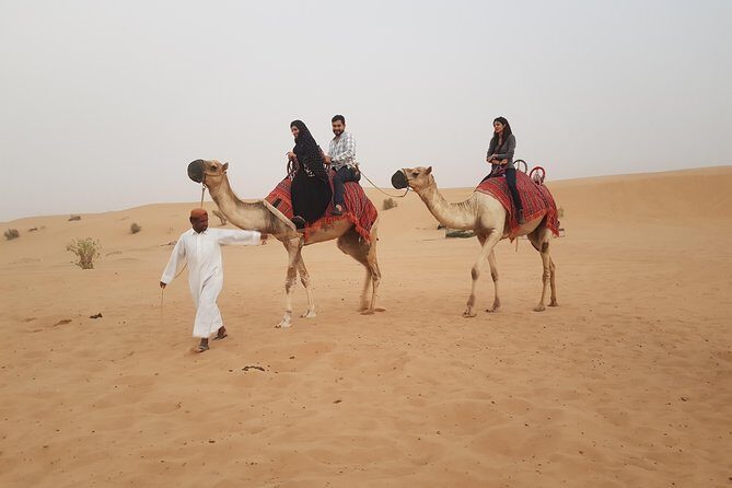 Dubai 4x4 Desert Safari, Quad Bike, Camel Ride & BBQ Dinner - Price and Value: Is $24 Really Enough?