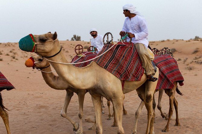 Dubai Camel Desert Safari, Traditional Meal & Heritage Activities - The 45-minute camel caravan: what to expect on the sand