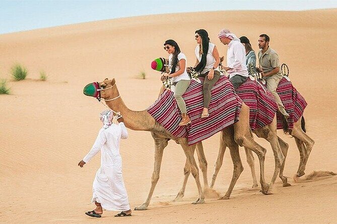 Dubai Desert Safari Adventure, 60mins ATV, Camel Ride, Shows, BBQ - The BBQ dinner and live shows: what the night feels like