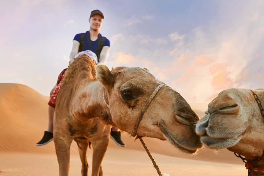 Dubai Desert Safari - Camel Ride, Sandboarding & 30 Min Quad - Group size, shared vs private: what changes (and what doesn’t)