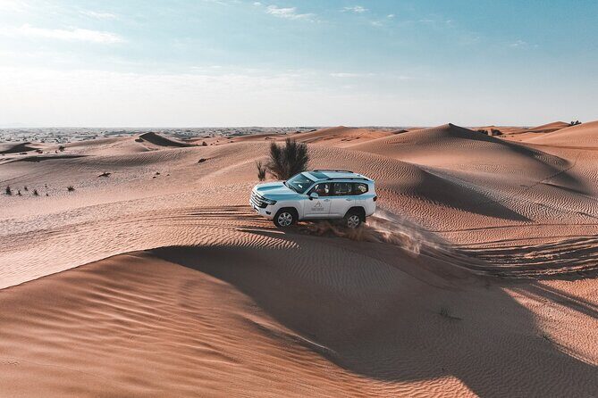 Dubai Desert Safari: Camel Ride, Sandboarding, BBQ & House Drinks - Quick Practical Tips That Make the Day Easier