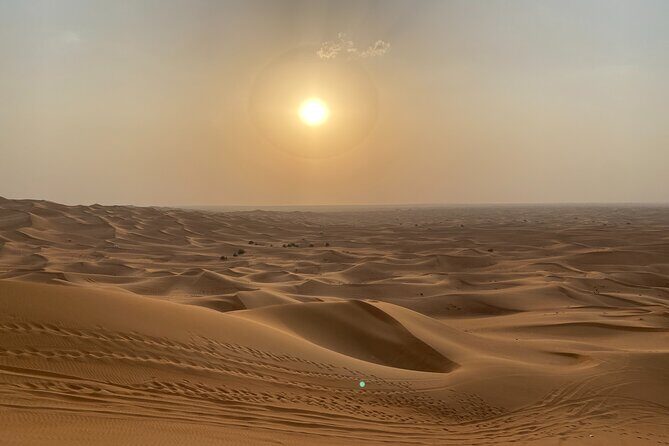Dubai Desert Safari, Camel Ride, Shisha, Henna, Live BBQ & Shows - Should You Book This Desert Safari from Dubai?