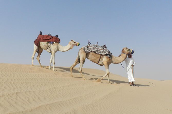 Dubai Desert Safari Dune Bashing, 60min ATV Quad, Camel Ride, BBQ - Price and Value: Why This Works Around $56