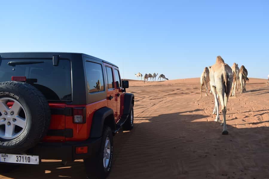 Dubai: Desert Safari, Quad Bike, Camel Ride and Sandboarding - What’s Included for Around $29: Value You Can Feel