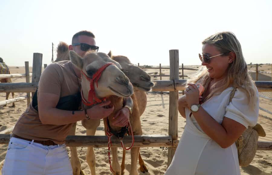 Dubai: Desert Safari, Quad Bike, Sandboarding, Camels & BBQ - Camel Ride and Falcon Encounters: Slower Than the Dunes