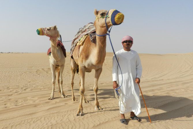 Dubai Desert Safari with BBQ, 3 Shows & Camel Ride at Majlis Camp - Oasis and Camel Farm Stops: A Slower Desert Moment Before the Sunset