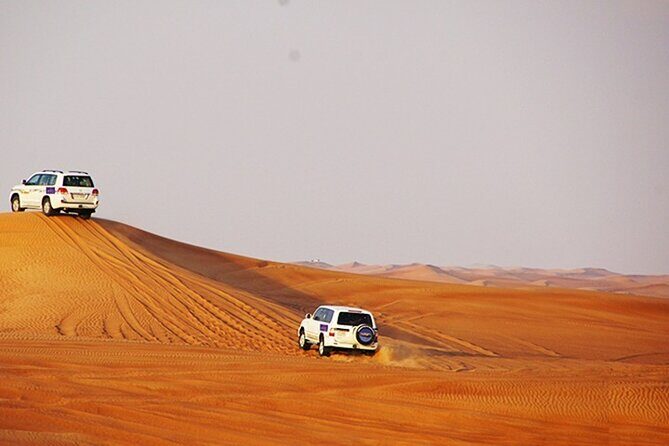 Dubai Desert Safari with BBQ, 3 Shows & Camel Ride at Majlis Camp - Sandboarding and the ATV Quad Upgrade: Choose Your Thrill Level