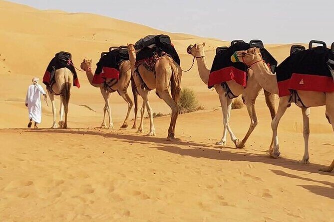 Dubai Desert Safari With Dune Bashing, Camel Ride & BBQ Dinner - From your hotel to the Lahbab dunes: how the day starts