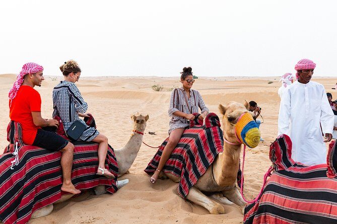 Dubai Desert Safari with Quads, BBQ Dinner, Camel ride, & Shows - From hotel pickup to 4x4 dune bashing: what the first hour feels like