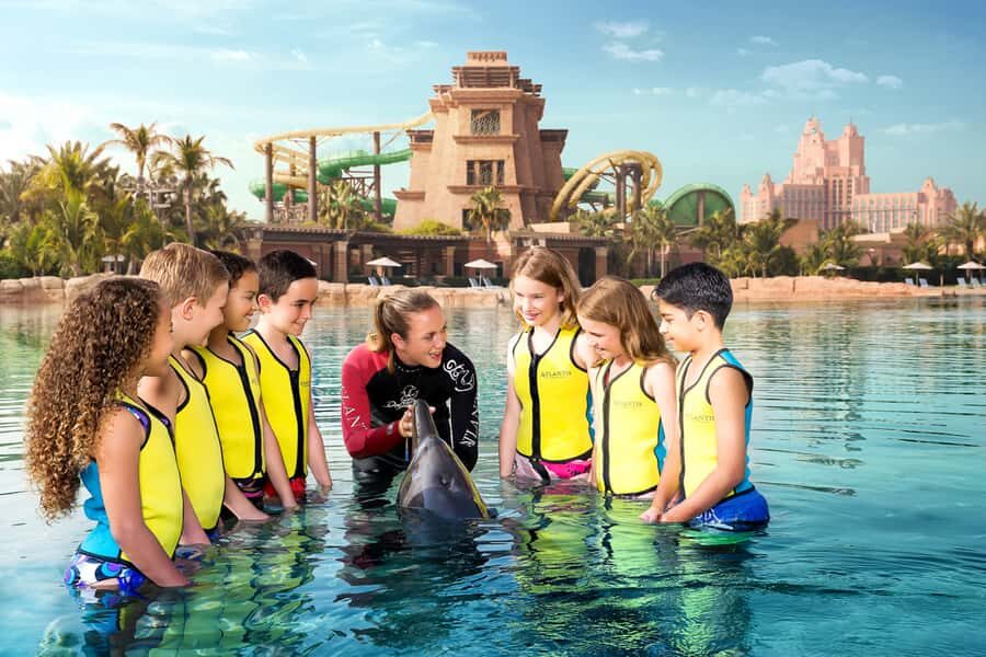 Dubai: Dolphin Encounter & Aquaventure Waterpark Ticket - Dolphin encounter time: what the interaction feels like