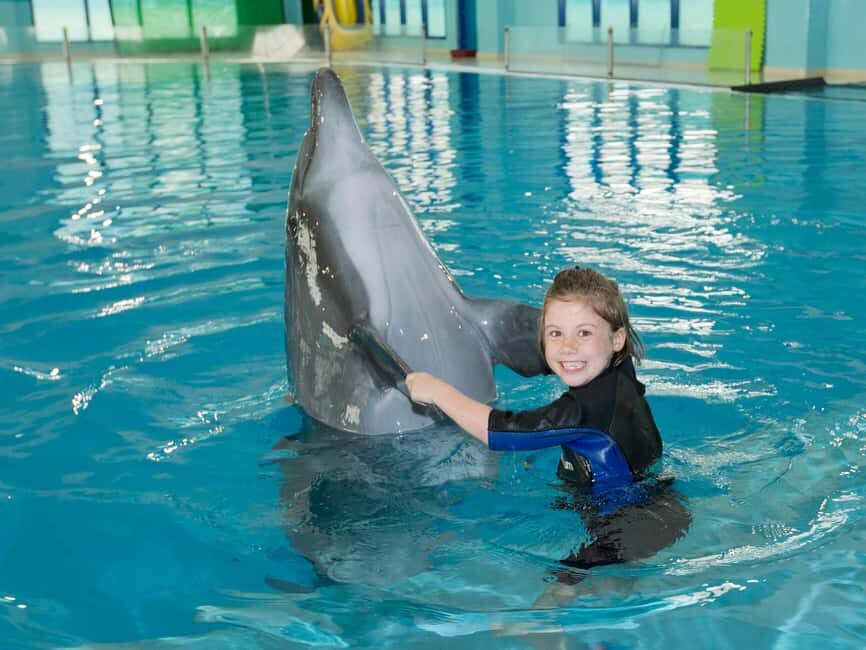 Dubai: Dubai Dolphinarium Dolphin, Seal & Bird Show Tickets - How long it takes and how to build a Dubai half-day