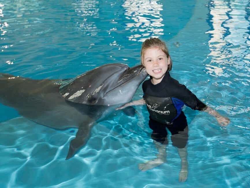 Dubai: Dubai Dolphinarium Dolphin, Seal & Bird Show Tickets - Should you book Dubai Dolphinarium?