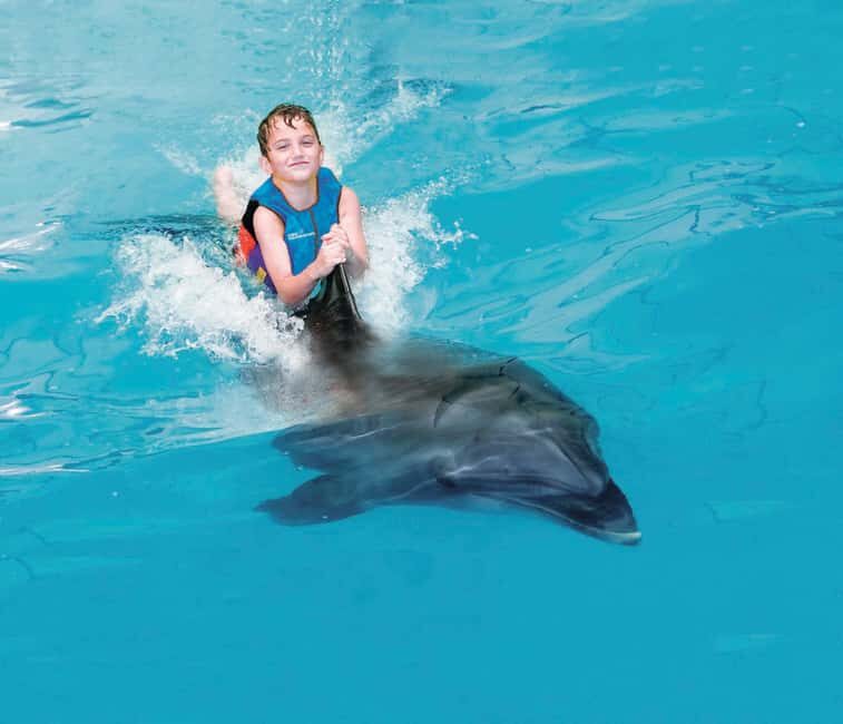 Dubai: Dubai Dolphinarium Dolphin, Seal & Bird Show Tickets - FAQ