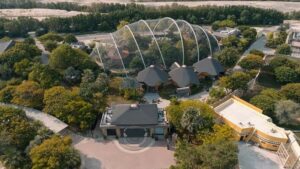 Dubai: Dubai Safari Park Entry Pass - Your ticket’s real value: what’s included vs what costs extra