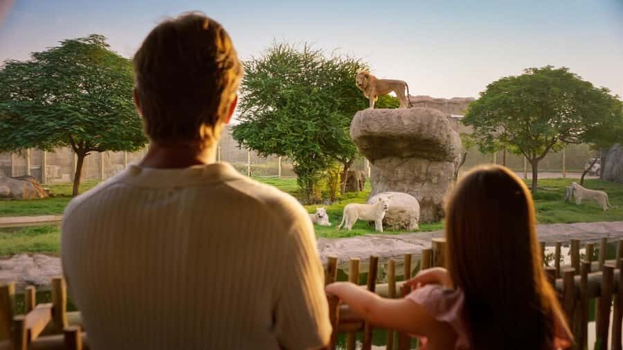 Dubai: Dubai Safari Park Entry Pass - Explorer Safari Tour by bus: close range without the marathon