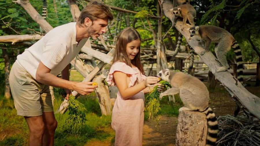 Dubai: Dubai Safari Park Entry Pass - African Village and Asian Village zones: different animal moods, different viewing strategy