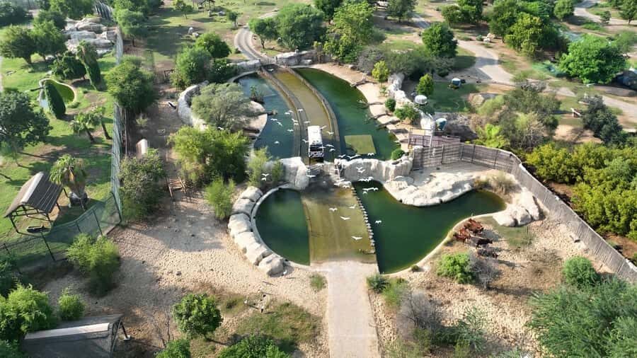 Dubai: Dubai Safari Park Entry Pass - Getting around: walking is doable, but transport options help