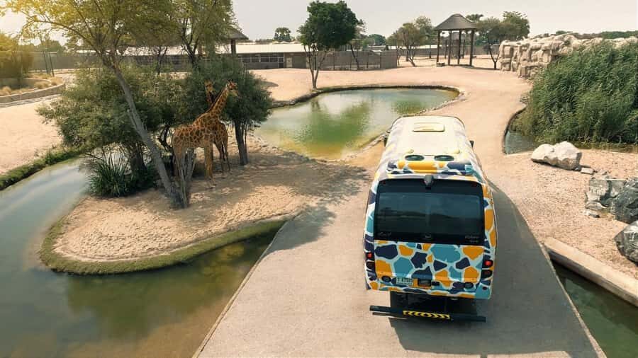 Dubai: Dubai Safari Park Entry Pass - Shade, misting fans, and food stops: the day works even in heat
