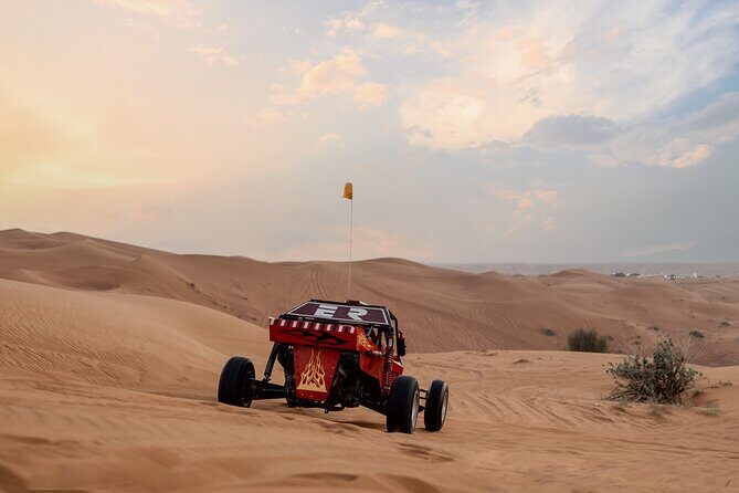 Dubai Dune Buggy Safari Tour in Red Dunes Options - Who should book this red dunes buggy safari (and who might not)