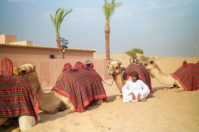 Dubai Evening Desert Safari BBQ Dinner & Transfer to Noble Camp - Who This Desert Safari Is Best For
