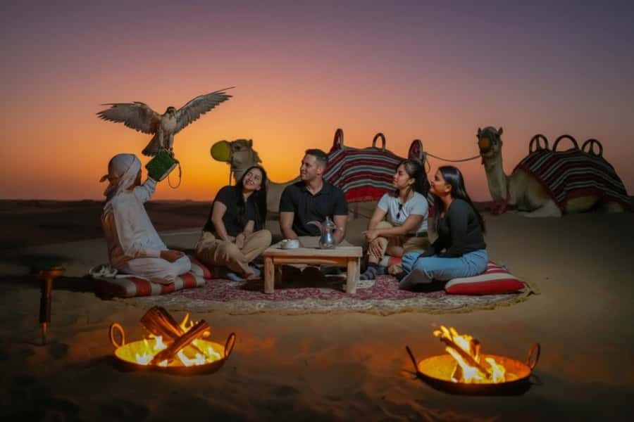 Dubai: Evening Desert Safari with Camel Ride & Stargazing - Arriving at Al Marmoom Oasis: tea, dates, falcon photos, and sandboarding