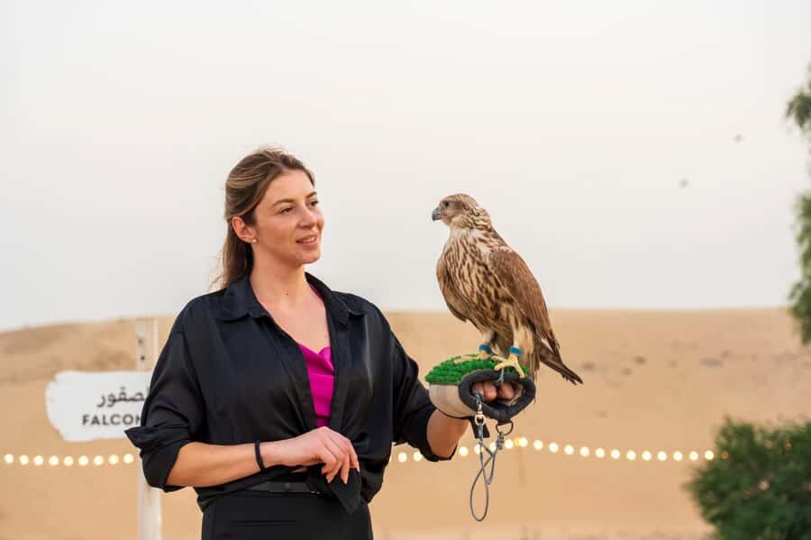 Dubai: Evening Desert Safari with Camel Ride & Stargazing - Wildlife walk and spotting desert animals and birds